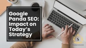 google panda seo